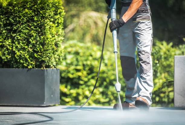 Best Roof Cleaning and Mildew Removal in Holiday Valley, OH